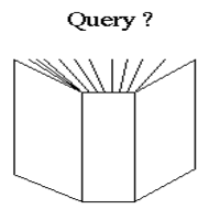 Problem Input