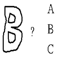 Problem Input