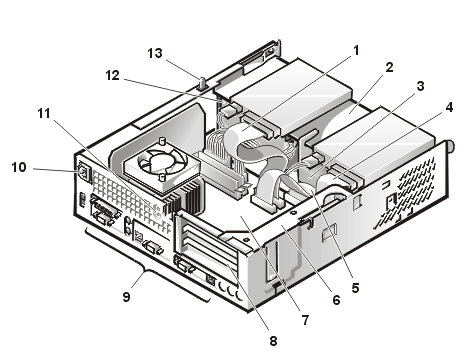 gator_02.gif (41309 bytes)