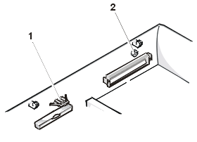 gator_05.gif (6910 bytes)