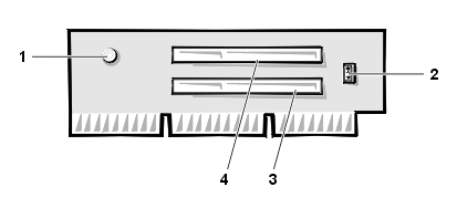 gator_19.gif (8747 bytes)